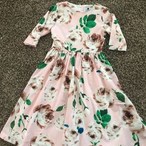 Dainty Jewells Little Delicate Rose Garden M